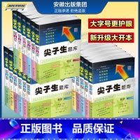 [人教版]语文+数学 二年级下 [正版]2024新尖子生题库一1二2三3四4五5六6年级上下册数学语文人教版北师版下一课