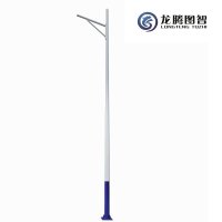 龙腾图智 路灯杆6米 LT-TDQ-I2068 套