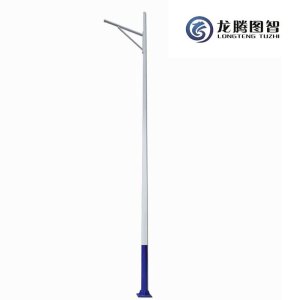 龙腾图智 路灯杆6米 LT-TDQ-I2068 套