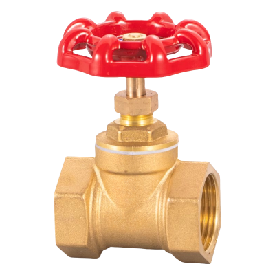 满盛达建 铜闸阀 DN20 个