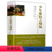 [正版] 少年维特之烦恼 歌德 全译本无删减中文版 少年维特的烦恼 原版原著世界文学名著 小学生青少年课外读物 书籍