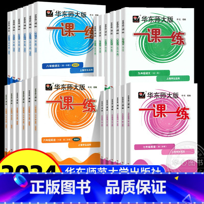 [4册]语数英物 普通版 八年级上 [正版]2024华东师大版一课一练沪教版六七八九年级上下册语文数学英语物理化学牛津版