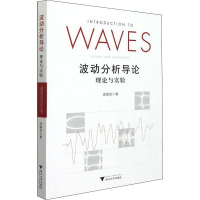 波动分析导论:理论与实验