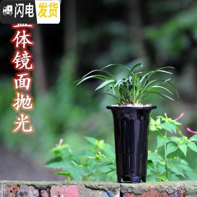 三维工匠兰花盆 透气罩 疏水罩 全新料树脂镜面抛光兰花专用盆5个起 大号新盆5个+输水罩 全新料花盆容器