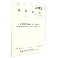 [N]公路隧道帷幕注浆技术规程(TCHTS10088-2023)/团体标准-151144385