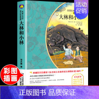 [正版]大林和小林原著小学生二三四五六年级上册下册学期阅读课外书必的书籍经典书目儿童文学童话故事快乐读书吧世界名著博凯文