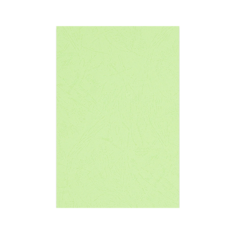 优彩嘉 彩色皮纹纸 A4 230g 浅绿色 1504 包