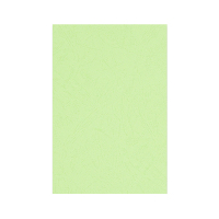 优彩嘉 彩色皮纹纸 A4 230g 浅绿色 1504 包