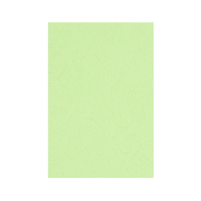 优彩嘉 彩色皮纹纸 A4 230g 浅绿色 1504 包