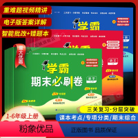 ❤️[3本]语数英-人教版 三年级下 [正版]经纶学霸期末必刷卷一二年级三四五六年级下册语文数学英语人教北师江苏教版 小