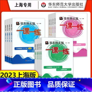[4册]语数英物 增强版 八年级上 [正版]2023华东师大版一课一练沪教版六七八年级上册下册语文数学英语物理化学普通版