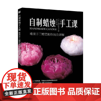 自制蜡烛手工课 前田佐千子 著 娱乐休闲