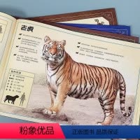 大小能目测的野生动物 [正版]大小能目测的动物绘本儿童幼儿认识3—6岁海洋恐龙动物百科揭秘系列翻翻书神奇历史侏罗纪硬壳绘