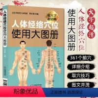 [正版] 人体经络穴位使用大图册 主编 郭长青 人体穴位经络图全身穴位美体针灸艾灸推拿保健 中国医药科技出版社978