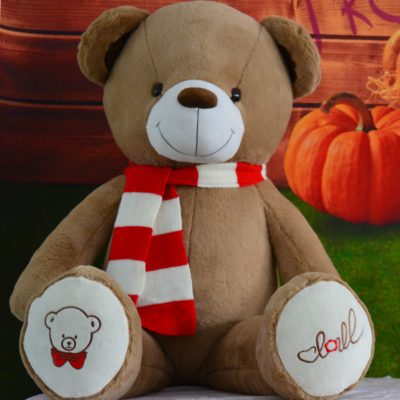 毛绒玩具布娃娃公仔女生闺蜜抱抱熊泰迪熊猫玩偶大号女孩生日米棕围巾熊(带拉链可拆洗)全长1米直角量1.2米送花