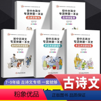 初中古诗文专项突破5册 初中通用 [正版]新初中古诗文专项突破一本全古诗文默写古诗词鉴赏文言文阅读全解全练古代文化常识全