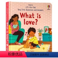 [正版]Usborne出品 问与答系列 爱是什么 What is love?英文原版绘本 幼儿童英语启蒙图画纸板翻翻书
