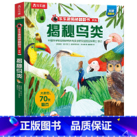 ★揭秘鸟类 [正版]揭秘系列儿童翻翻书3d立体书全套 3-6-8-10岁海洋恐龙太空宇宙人体地球动物汽车火车交通工具立体