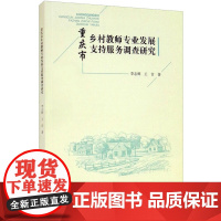 重庆市乡村教师专业发展支持服务调查研究 李志辉,王吉 著 育儿其他文教 正版图书籍 重庆大学出版社