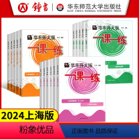 九年级 数理化增强版 精讲视频(3科) 九年级 [正版]2024华东师大版一课一练六年级下七年级下册八九年级物理语文数学