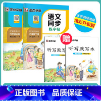 [语文描红套装]6年级上册+下册(送听写默写本) 小学六年级 [正版]六年级下册语文字帖练字小学生硬笔书法字帖一课一练字