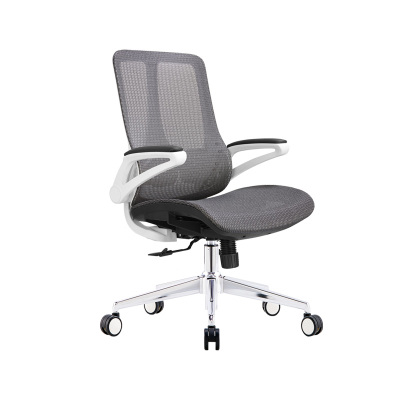 臻远 ZY-8956 办公椅人体工学椅转椅 摆动扶手 白框 单位:把