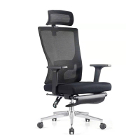 初嘉(CJ)BGY-21人体工学椅电脑椅撑腰办公椅家用老板椅电竞椅靠背转椅座椅