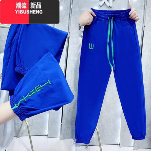 YIBUSHENG大码速干冰丝休闲裤女薄款高腰百搭显瘦哈伦裤装新款九分束脚裤