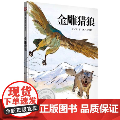 金雕猎狼精装硬壳儿童成长绘本适合0-3-6-7岁早教启蒙阅读正版益智儿童故事书 睡前故事童话漫画书图书幼儿绘本信谊正版