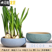 三维工匠水仙花盆铜钱睡莲碗莲荷花多肉水培花盆容器无孔陶瓷特大号 玲珑花盆2件套(无孔水培) 中等