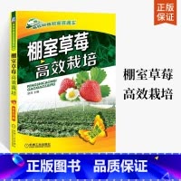 [正版]棚室草莓高效栽培 草莓种植书籍大全 草莓育苗技术 栽培管理 无土栽培模式参考书 常见病虫害及防治用书 草莓棚室