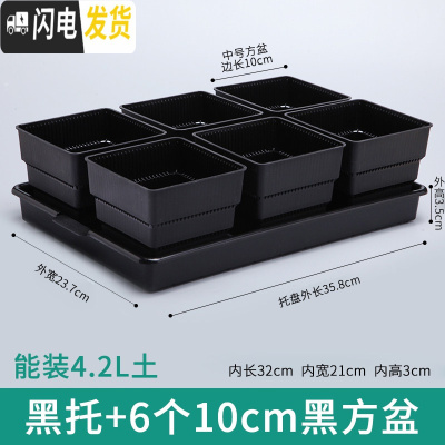 三维工匠控根多肉花盆套装组合塑料创意个性简约透气北欧风肉肉小盆器 黑托+6个黑盆(10cm盆) 中小花盆容器