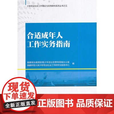 合适成年人工作实务指南 首都综治委预防青少年违法犯罪专项组办公室 中国人民公安大学出版社 正版书籍