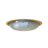 EBF605(L)-20W LED顶灯 节能环保,光线自然