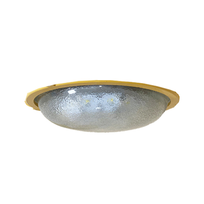 EBF605(L)-20W LED顶灯 节能环保,光线自然