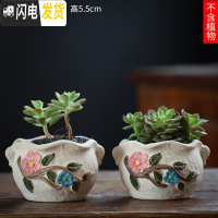 三维工匠可画画上色彩多肉小花盆陶瓷粗陶透气创意肉肉植物盆 珊瑚青色图片款[2个装] 中等花盆容器