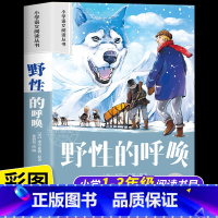[彩图注音]野性的呼唤 [正版]野性的呼唤 彩图注音版小学生一二三年级阅读课外书必读老师语文基础阅读配套丛书1-3年级带