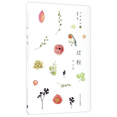 正版新书]过程/小说家的诗林白|总主编:林建法9787205088125