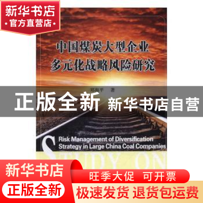 正版 中国煤炭大型企业多元化战略风险研究 郑海平著 西安交通大