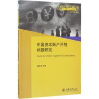中国资本账户开放问题研究