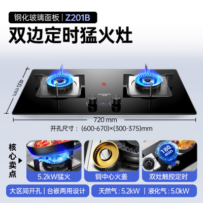 创维(Skyworth)燃气灶煤气灶双灶家用天然气猛火灶具智能定时台式嵌入式钢化玻璃JZY/T-Z201B