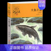 大鱼之道 [正版]象母怨沈石溪小学四年级五年级全集全套书浙江少年儿童出版社非注音版完整版动物小说大王品藏书系小学生课外阅