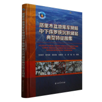 正版新书]塔里木盆地库车坳陷中下侏罗统沉积储层典型特征图集张