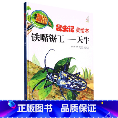 铁嘴锯工天牛 [正版]昆虫绘美绘本铁嘴锯工 儿童绘本科普百科精装硬壳硬皮 3-6岁儿童阅读 亲子阅读幼儿早教启蒙科普绘本