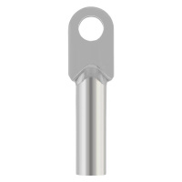 盛京联硕 国标镀锡铜鼻子接线端子铜接头 DT-10mm² 个