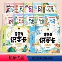 [全12册]识字启蒙游戏书+识字卡 [正版]蒙童奇识字卡 一阶二阶宝宝早教识字幼儿园启蒙儿童小学生认字认知学习汉字2-4