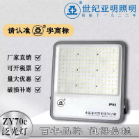 世纪亚明(揽月系列)泛光灯 ZY70c 个