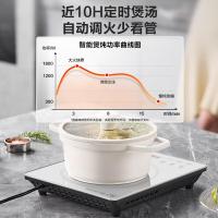 苏泊尔电磁炉家用电陶炉新型电磁灶大功率猛火电池炉一体微晶面板炒菜智能电炉火锅炉C22-IA630D 10档火力