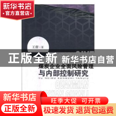 正版 煤炭企业全面风险管理与内部控制研究 王蔚著 山西经济出版