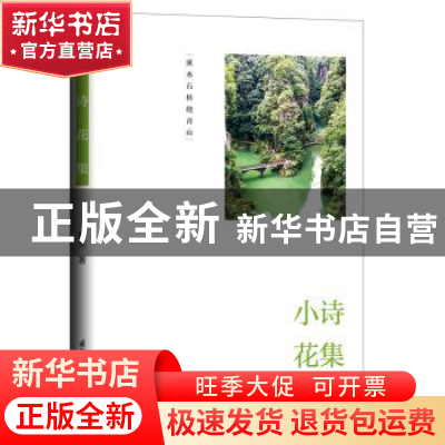 正版 小诗花集 鲁立 国际文化出版公司 9787512514027 书籍